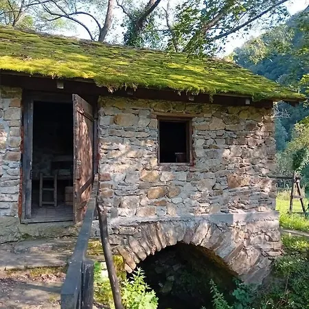 Casa Danut- Girliste