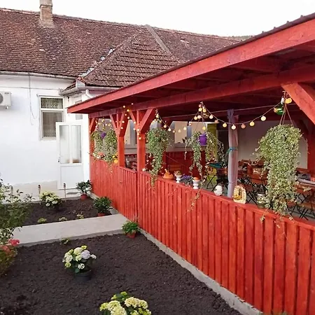 Casa Danut- Girliste Holiday home *